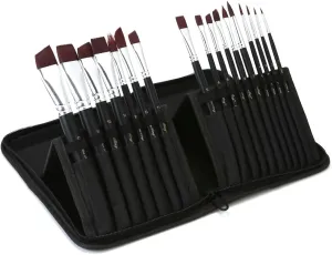 17Pcs Artist Paint Brush Set, Colored Painting Brushes, Watercolor Paint Brush, Nylon Hair Brushes with Storage Bag for Gouache Oil and Tempera Painting