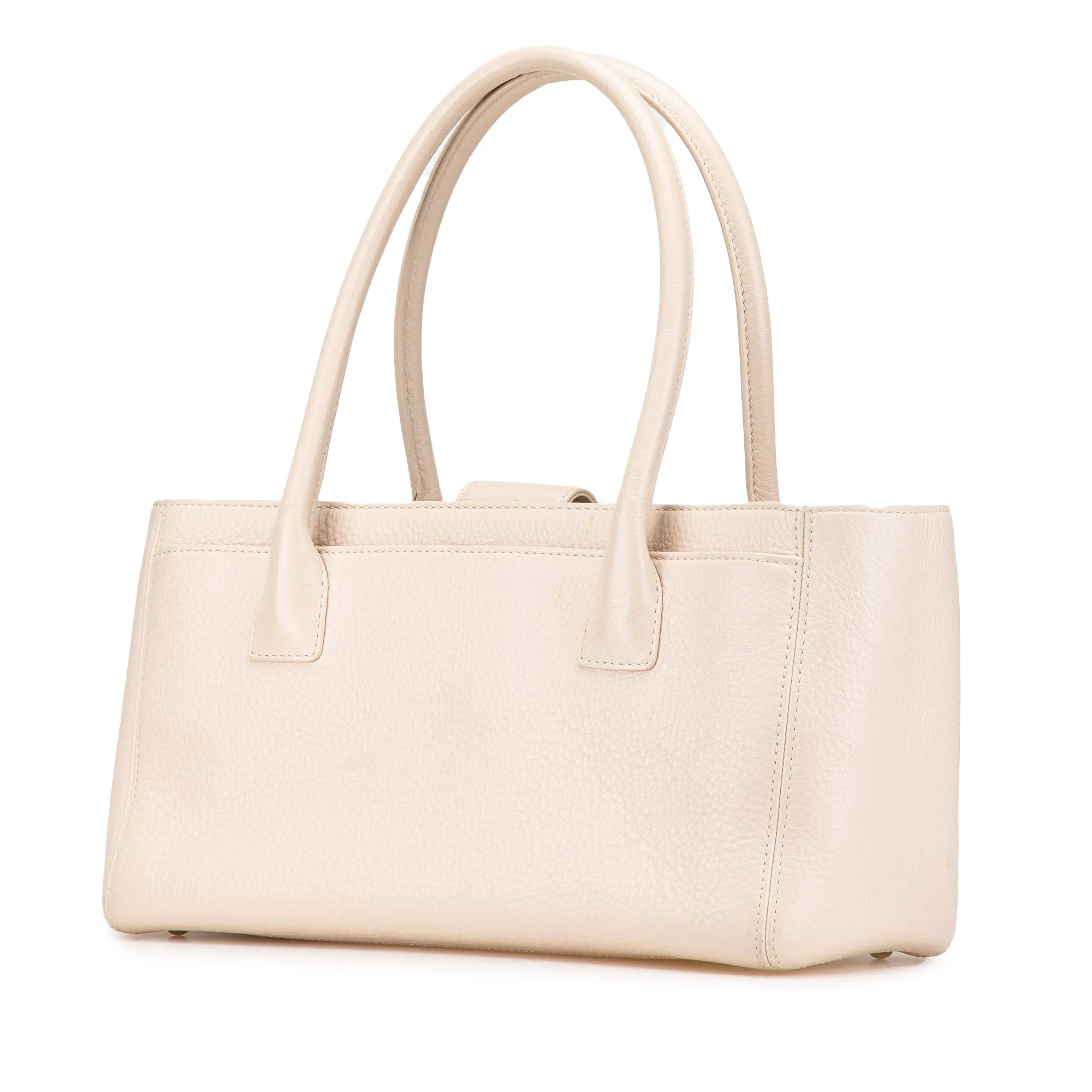 Chanel Small Calfskin Executive Cerf Tote