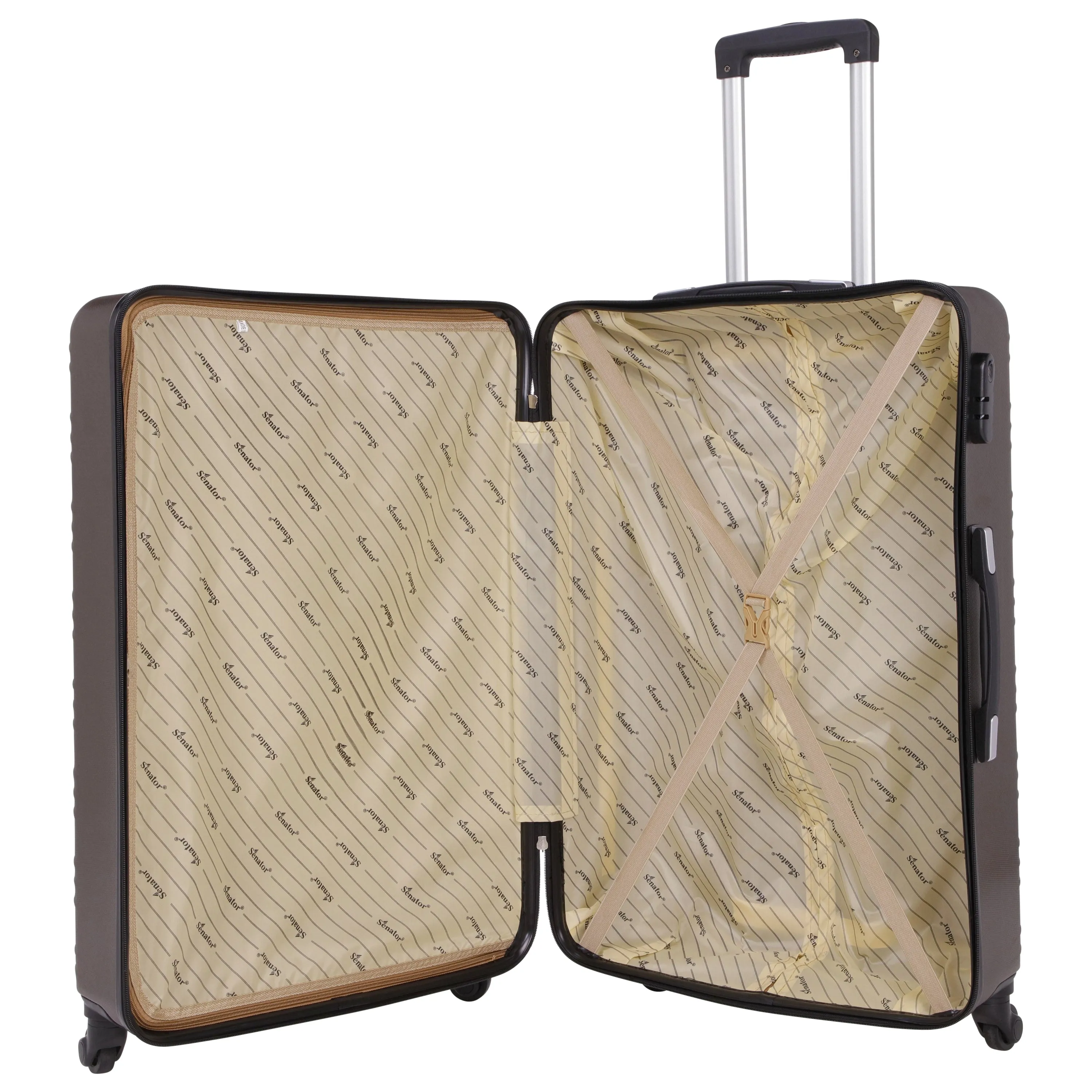 Checked Luggage by Senator (KH9022-24)