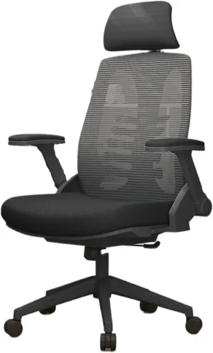 Classic Ergonomic Chair Lumbar Support Office Chair Comfortable Swivel Computer Chair for Home Study Study Writing Seat Desk Task Chair(Black)
