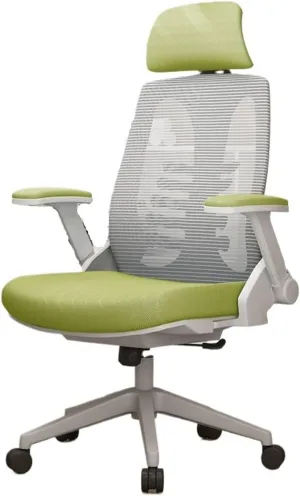 Classic Ergonomic Chair Lumbar Support Office Chair Comfortable Swivel Computer Chair for Home Study Study Writing Seat Desk Task Chair(Green)