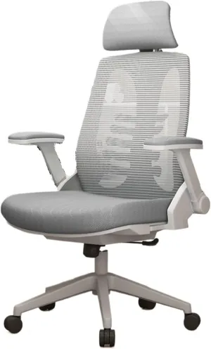 Classic Ergonomic Chair Lumbar Support Office Chair Comfortable Swivel Computer Chair for Home Study Study Writing Seat Desk Task Chair(Gris)