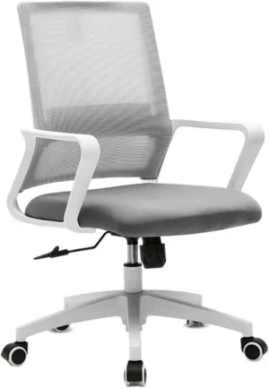 Classic Ergonomic Mesh Rolling Work Swivel Task Chairs, Comfortable Lumbar Support for Home, Bedroom, Study, Dorm, Student, Adults Desk Task Chair(Gris)