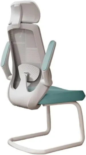 Classic Ergonomic Office Chair No Wheels Gaming Chair with Adjustable Arms, Home Office Desk Chair, Task Chair with Lumbar Support Desk Task Chair(Green)