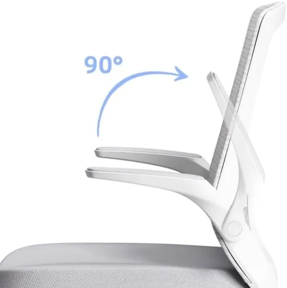 Classic Ergonomic Office Chair No Wheels Gaming Chair with Adjustable Arms, Home Office Desk Chair, Task Chair with Lumbar Support Desk Task Chair(Gris)