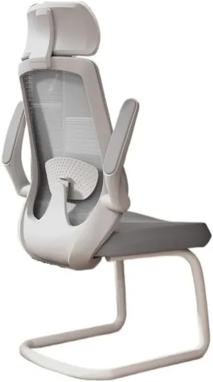 Classic Ergonomic Office Chair No Wheels Gaming Chair with Adjustable Arms, Home Office Desk Chair, Task Chair with Lumbar Support Desk Task Chair(Gris)