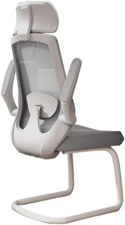 Classic Ergonomic Office Chair No Wheels Gaming Chair with Adjustable Arms, Home Office Desk Chair, Task Chair with Lumbar Support Desk Task Chair(Gris)