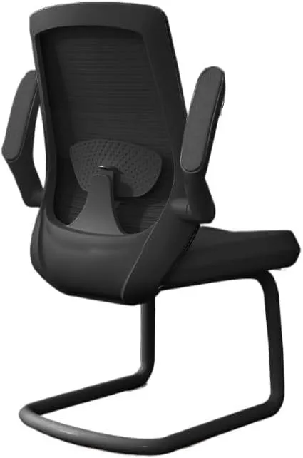 Classic Executive Office Chair with Adjustable Armrests and Metal Sled Base High Back Mesh Desk Chair for Adult Working Study Desk Task Chair(Black)