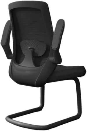 Classic Executive Office Chair with Adjustable Armrests and Metal Sled Base High Back Mesh Desk Chair for Adult Working Study Desk Task Chair(Black)