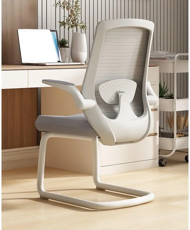Classic Executive Office Chair with Adjustable Armrests and Metal Sled Base High Back Mesh Desk Chair for Adult Working Study Desk Task Chair(Black)