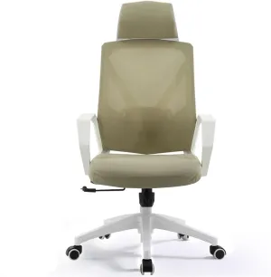 Classic Office Chair Comfortable Home Swivel Chair Conference Mesh High Back Chair with Pillow, Armrests and Wheels, Ergonomic Chair Desk Task Chair(Beige)