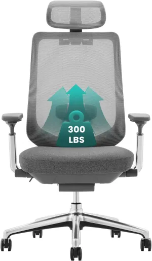 COLAMY Ergonomic Mesh Office Chair, High Back Office Chair, Computer Executive Desk Chair with Lumbar Support,Adjustable Headrest and 4D Arms, Slide Seat, Tilt Lock-Darkgrey New