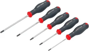 CRAFTSMAN V-SERIES Torx Screwdriver, 5 Piece (CMHT65630V)