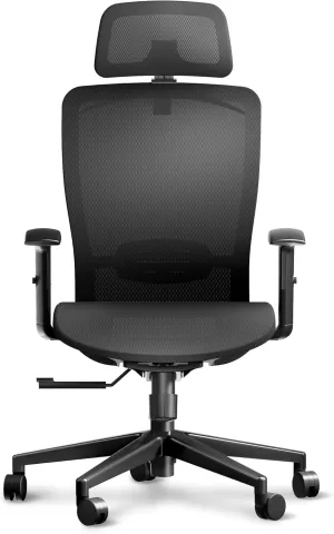 ErgoChair Pro Ergonomic Office Chair, Swivel Computer Chair, Home Office Desk Chairs， with Lumbar Support/2D Headrest/300lbs Heavy Duty/Lockable Back,Mesh Seat Cushion,Black