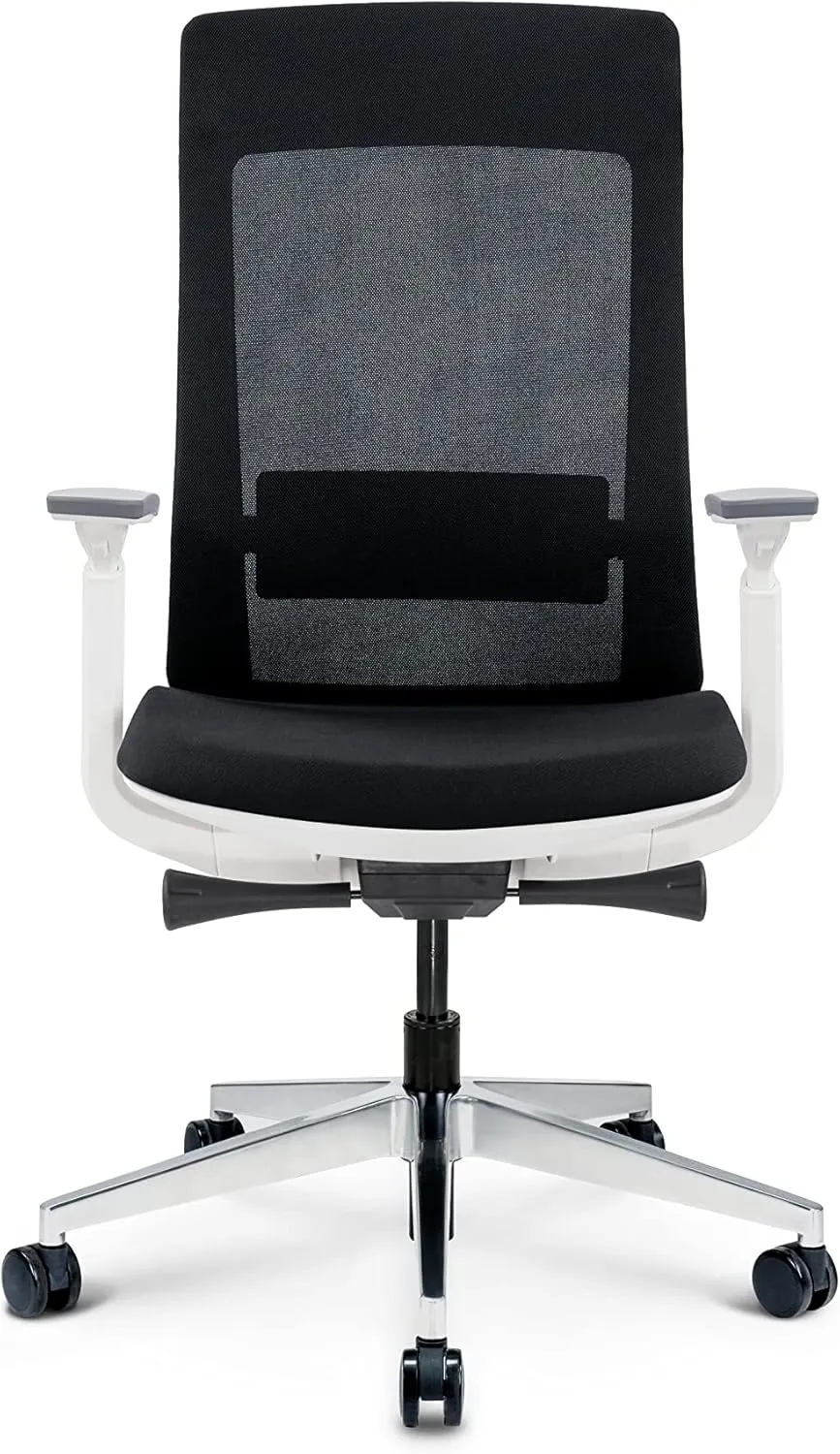 Ergohuman Elevate Black Mesh Back with Black Fabric Seat, Weight Balance, Tilt and Height Adjustment, Office Desk Chair (White Frame)