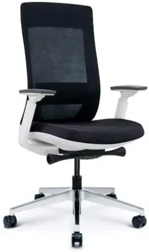 Ergohuman Elevate Black Mesh Back with Black Fabric Seat, Weight Balance, Tilt and Height Adjustment, Office Desk Chair (White Frame)