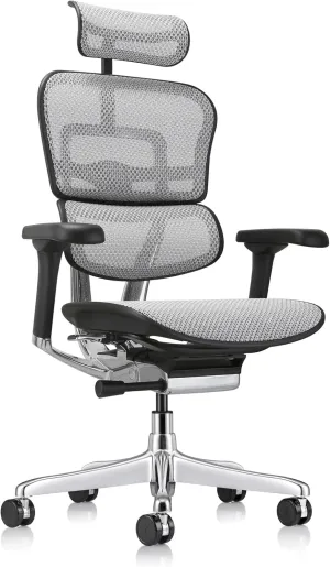 Ergohuman Eurotech GEN2 High Back, Mesh Executive Office Chair with Adjustable Lumbar Support – Ergonomic Tilt Control, Seat Slider, Armrests and Headrest Adjustment, Grey