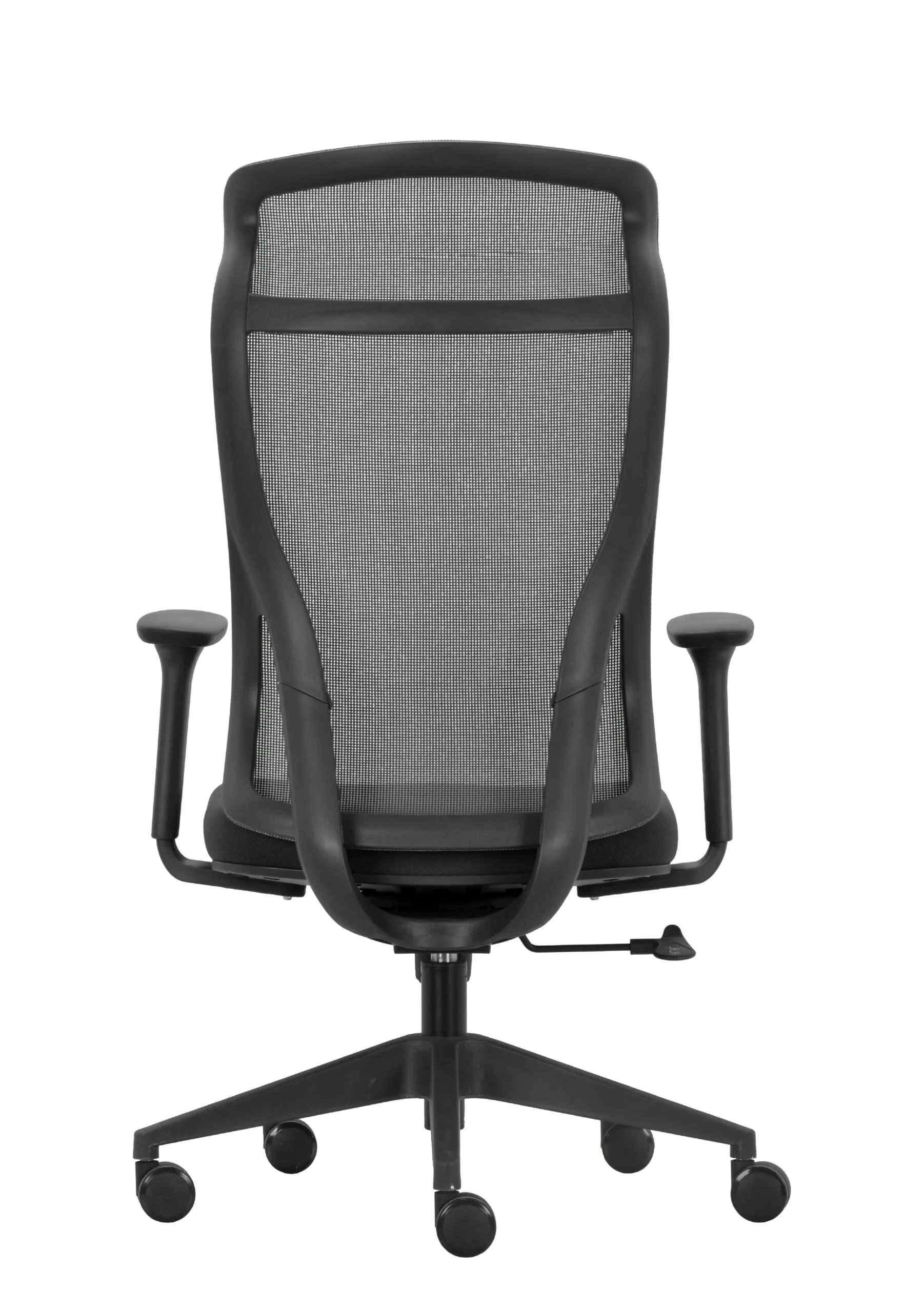 Everest Mesh