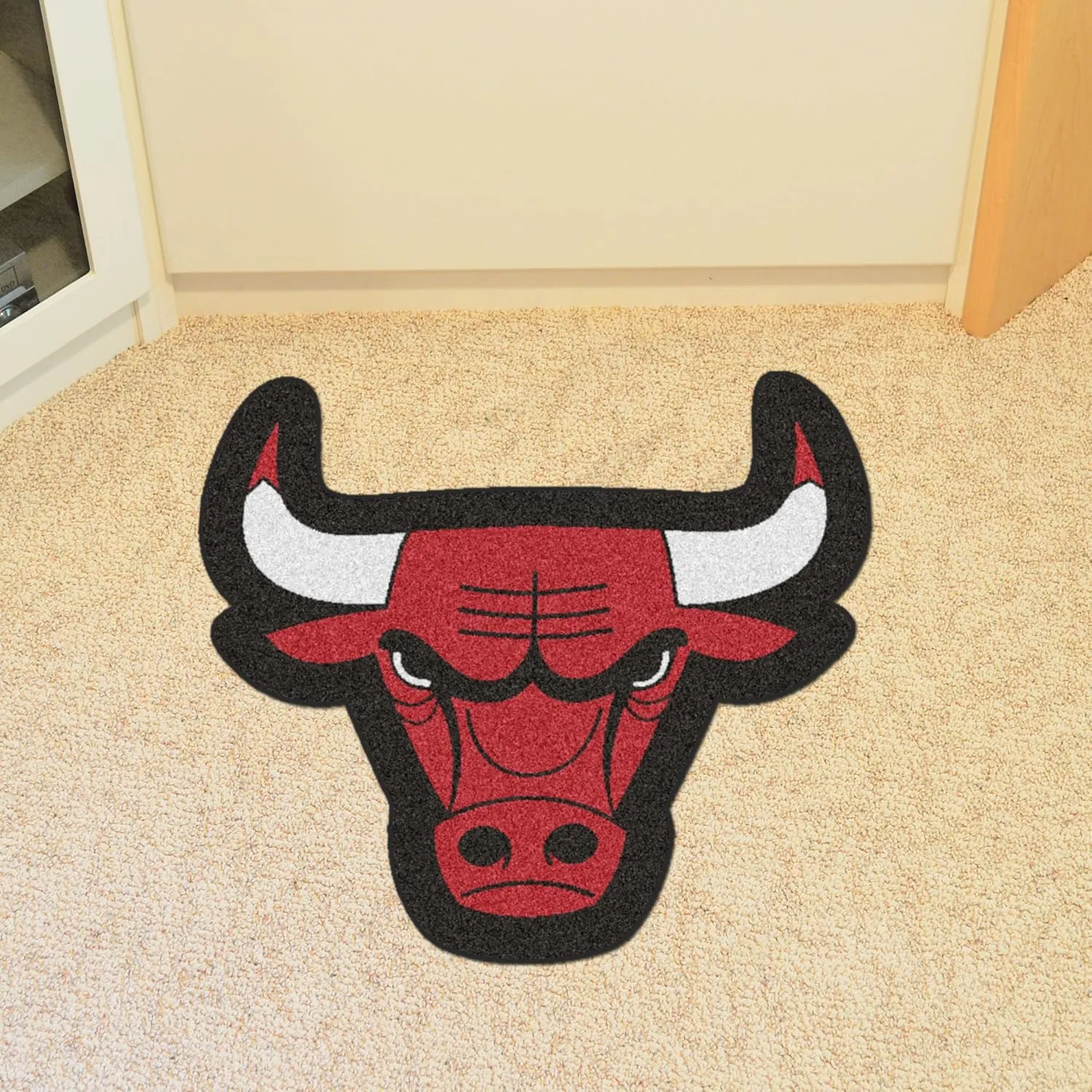FANMATS NBA Unisex Mascot Mat