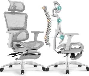 Ferral Ergonomic Office Chair, High Back Home Office Desk Chair with Lumbar Support, 4D Adjustable Armrest & Seat Depth, Computer Mesh Office Chair with Tilt Function (Silvergray)