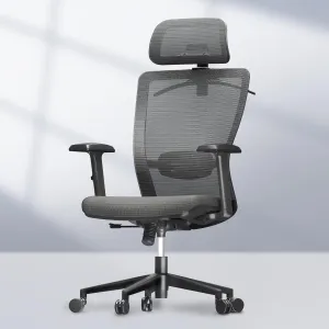 FLEXISPOT Classic Ergonomic Office Chair with High Back Swivel Computer Chair Executive Office Desk Chairs, with Lumbar Support/2D Headrest/Lockable Tilt Function, Foam Seat Cushion, Gray