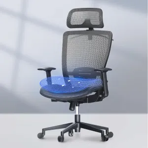 FLEXISPOT Ergonomic Office Chair, High Back Mesh Swivel Computer Chair, Executive Office Desk Chairs, with Adjustable Lumbar Support/2D Headrest/Lockable Backrest, OC3 Mesh Seat, Gray