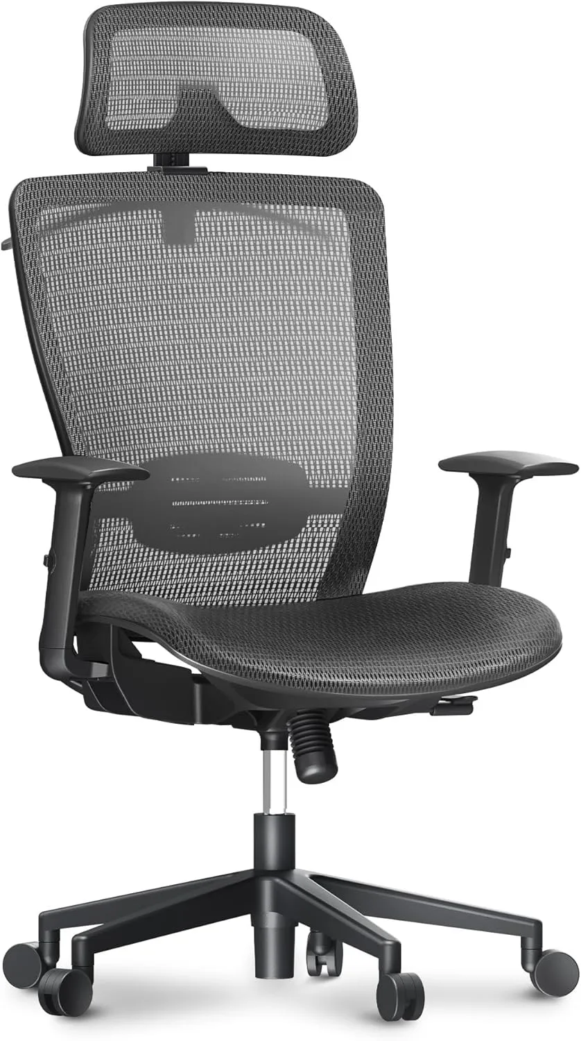 FLEXISPOT Ergonomic Office Chair, High Back Mesh Swivel Computer Chair, Executive Office Desk Chairs, with Adjustable Lumbar Support/2D Headrest/Lockable Backrest, OC3 Mesh Seat, Gray