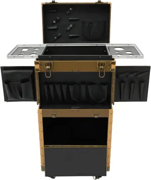 Makeup Rolling Case Professional Makeup Case 2 Mobile Password Locks and 2 Keys, Professional Makeup Train Case for Make Up Nail Hairstylists (Gold)