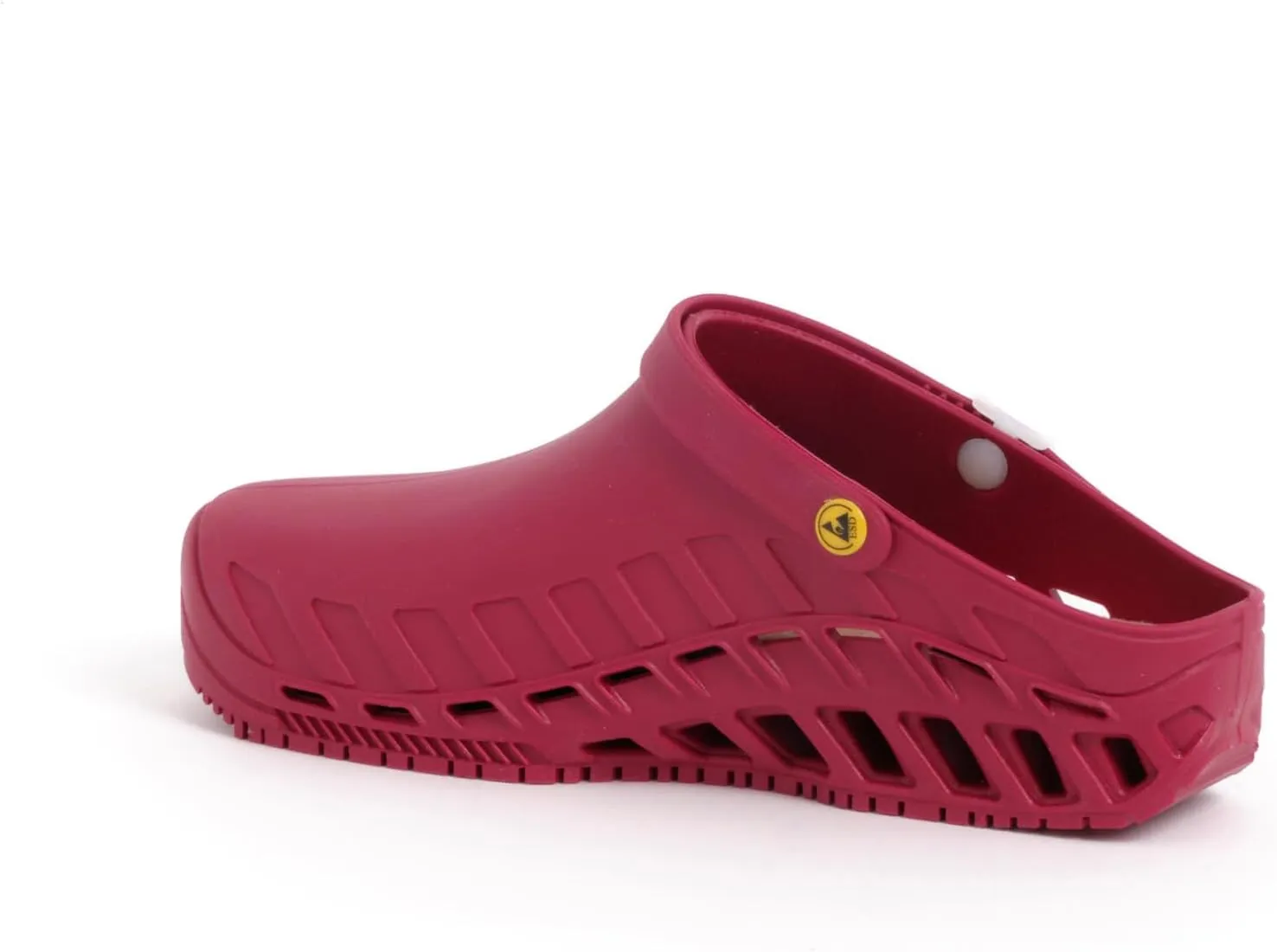 Scholl Unisex Medical Professional Clog
