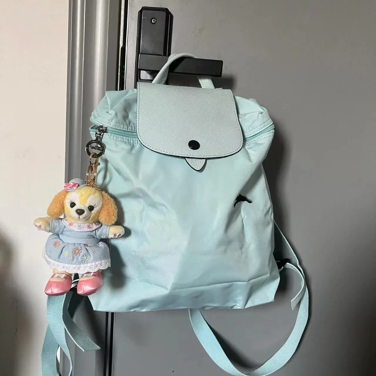Women's French Week Nylon Embroidered Waterproof Folding Backpacks