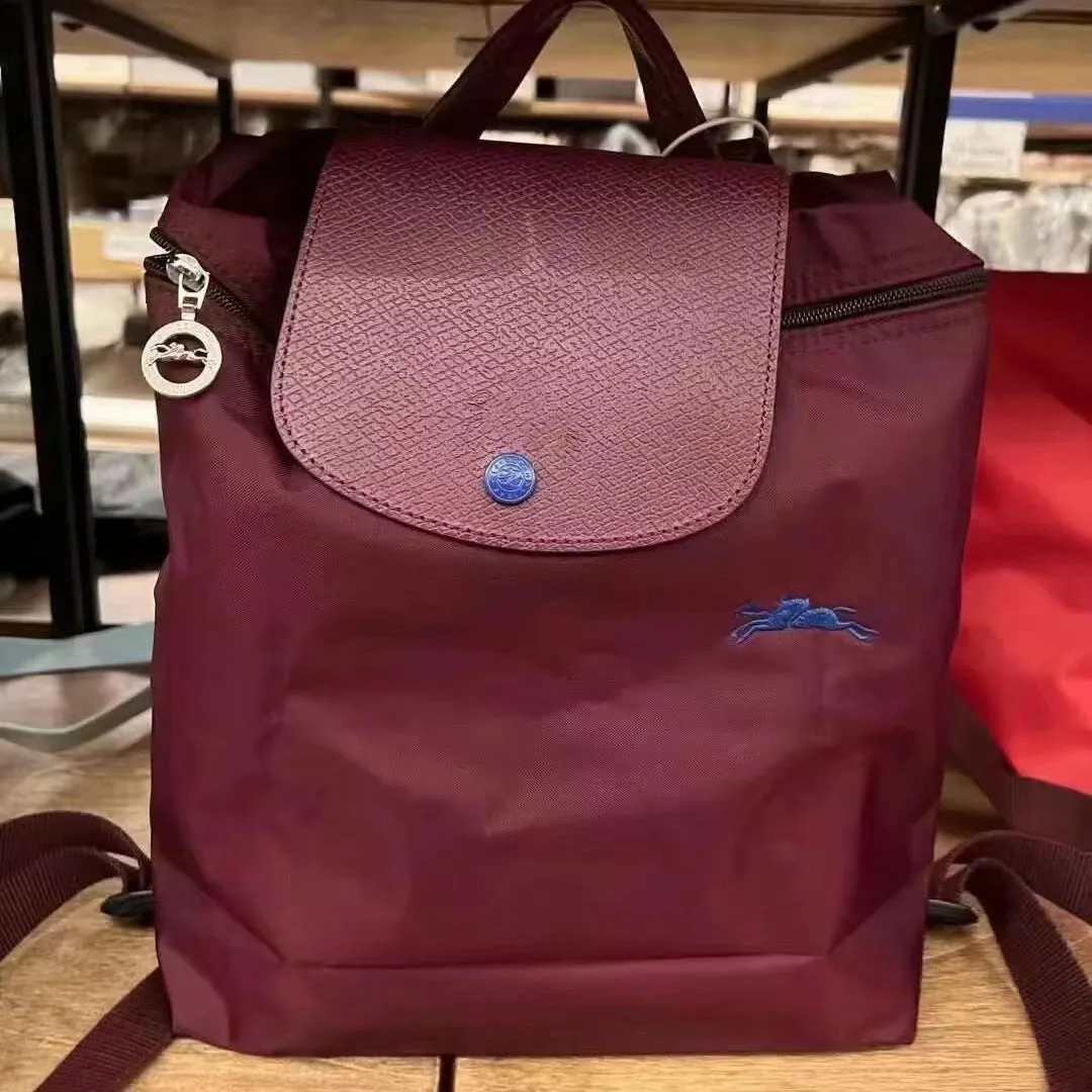 Women's French Week Nylon Embroidered Waterproof Folding Backpacks
